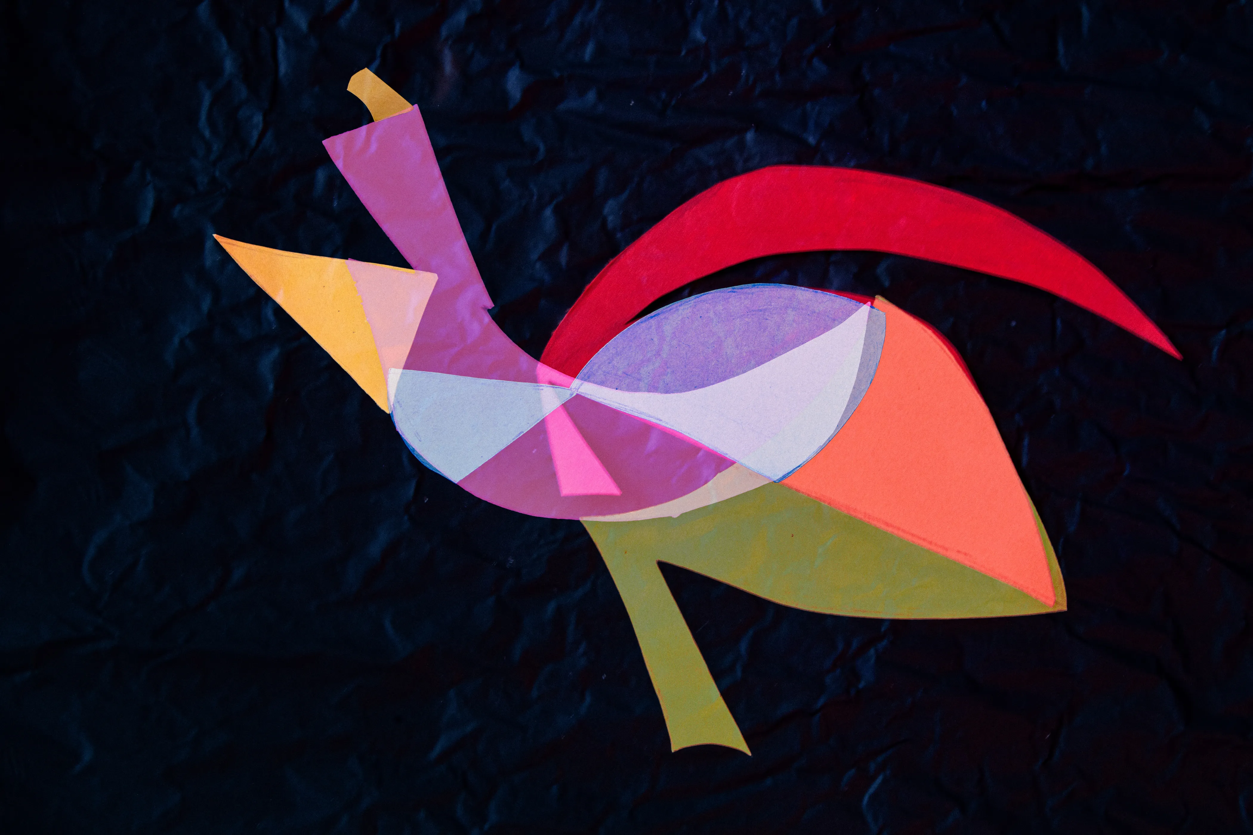 Overlapping translucent shapes in orange, pink, olive and red, with a long curved red form at the upper right, on a dark crinkled ground.
