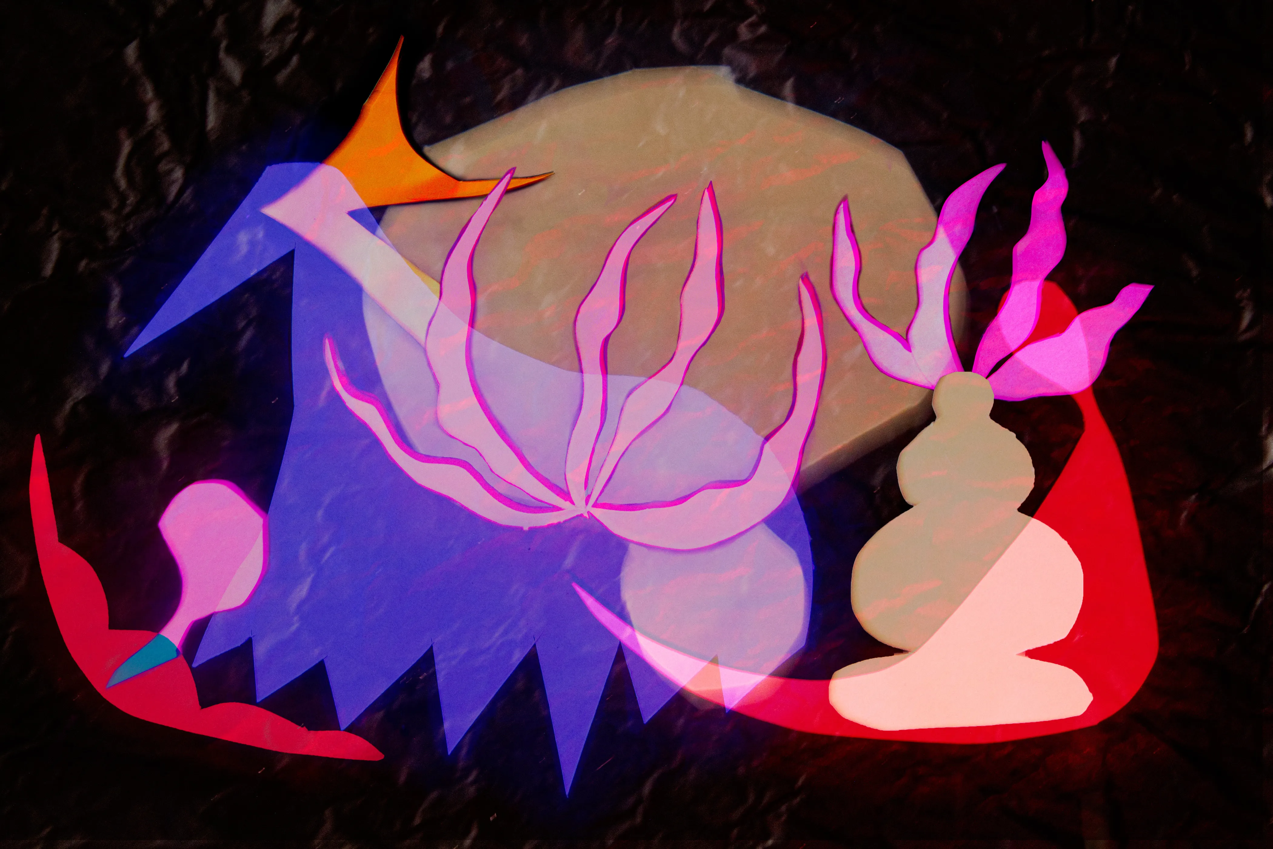 Layered translucent shapes in blue, pink, peach and red, with frond-like outlines, a pale round form and a small stacked pebble-like shape at the right, on a dark ground.