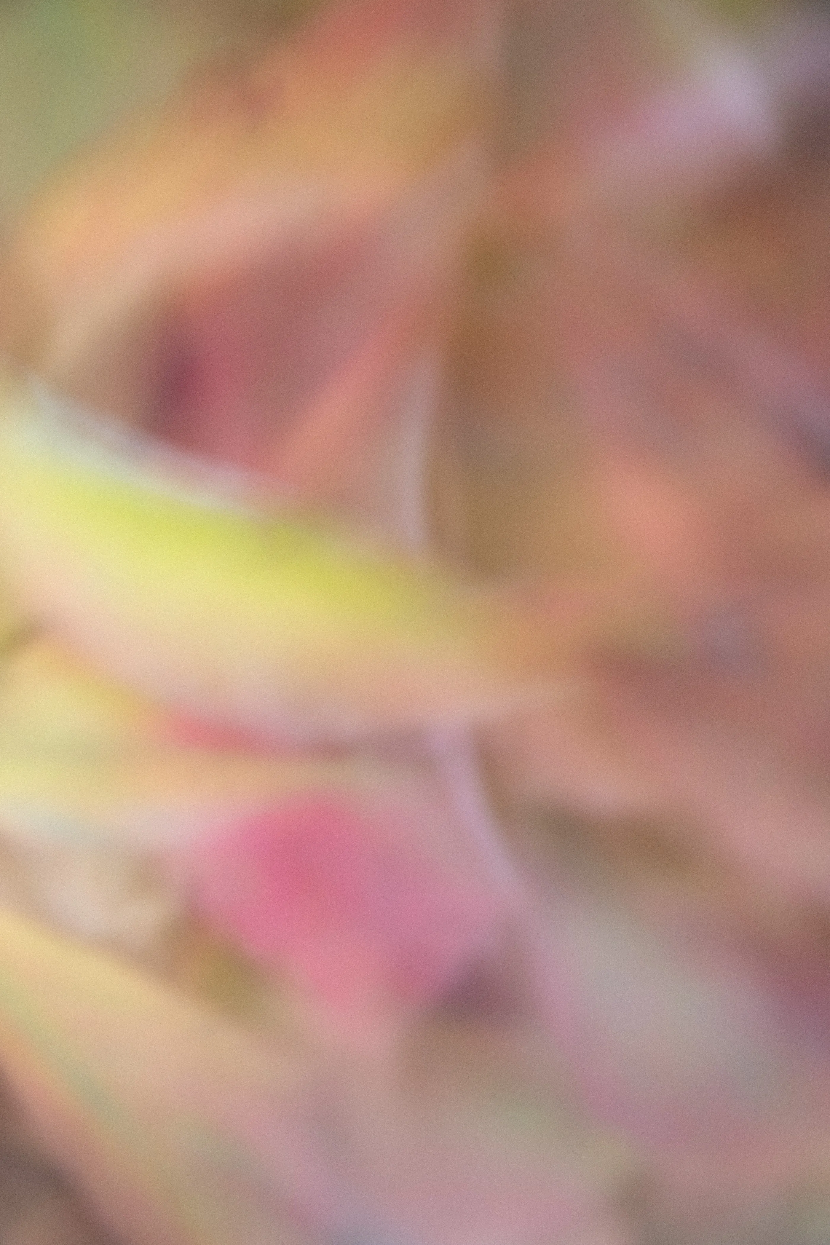 In Memory, from the Index / Visual Experiments series.