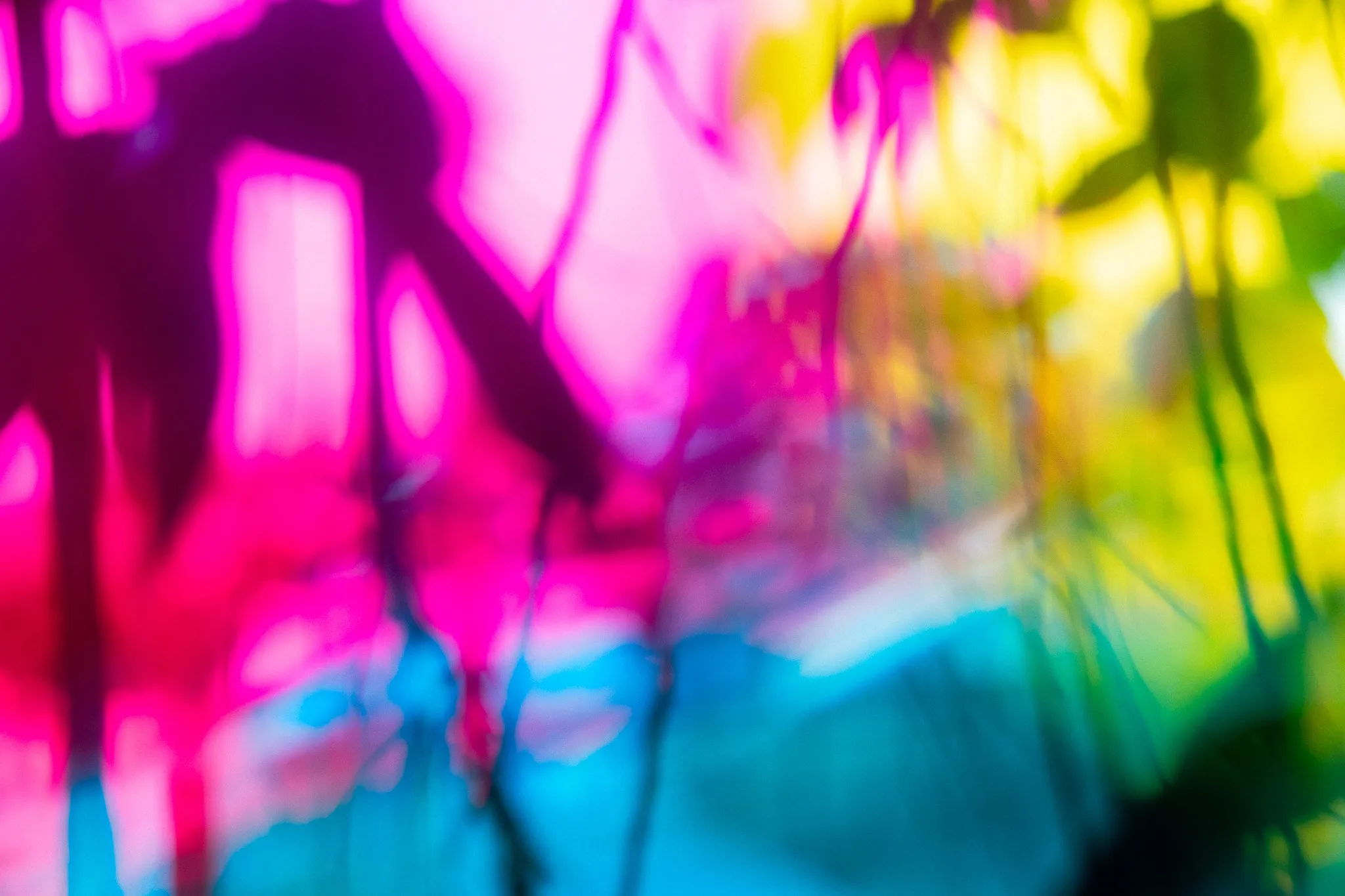 Untitled (Field Study), from the Index / Visual Experiments series.