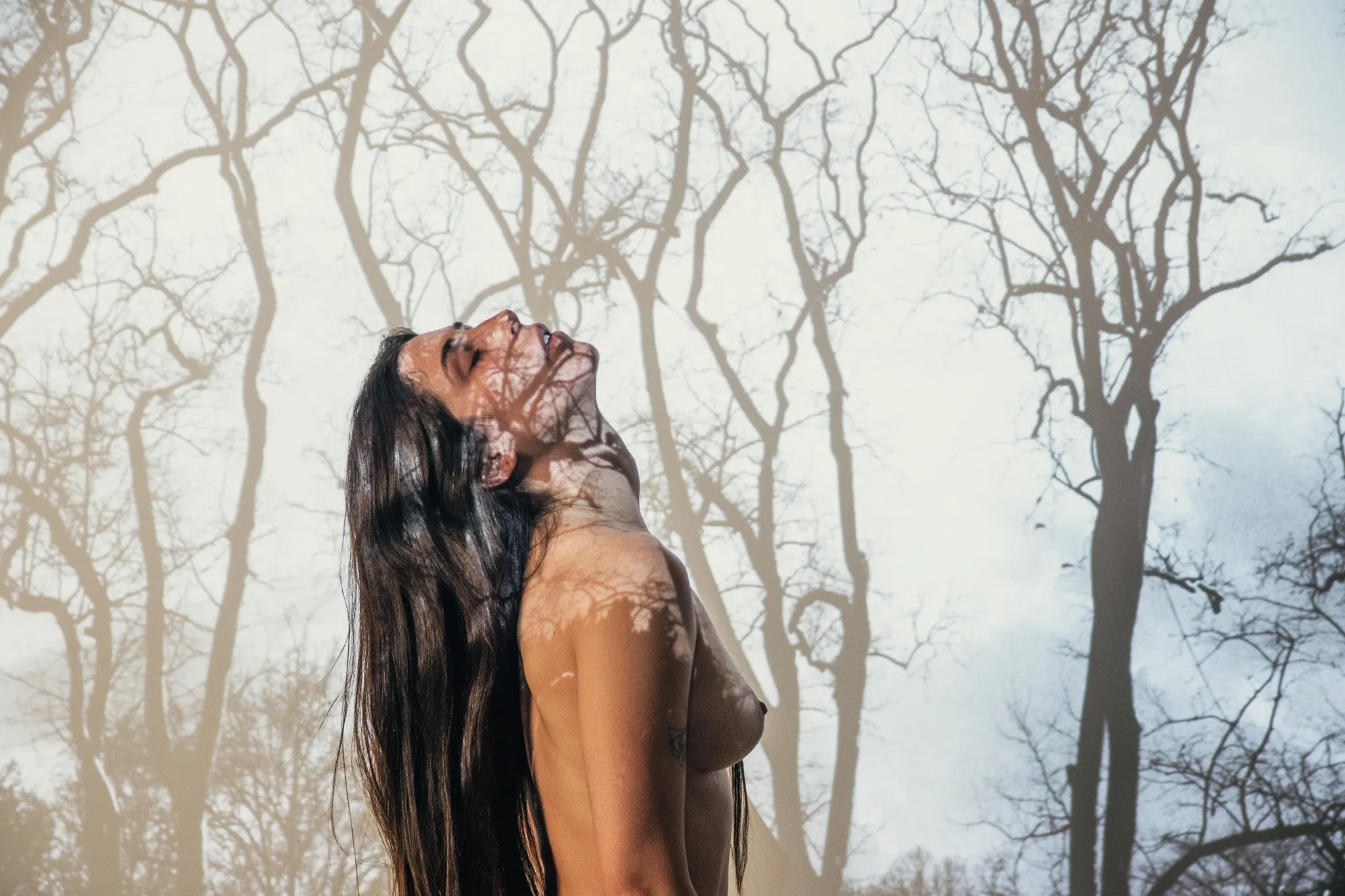 A figure in profile with the head tilted up and long dark hair falling behind, branch shadows across the neck and shoulder.