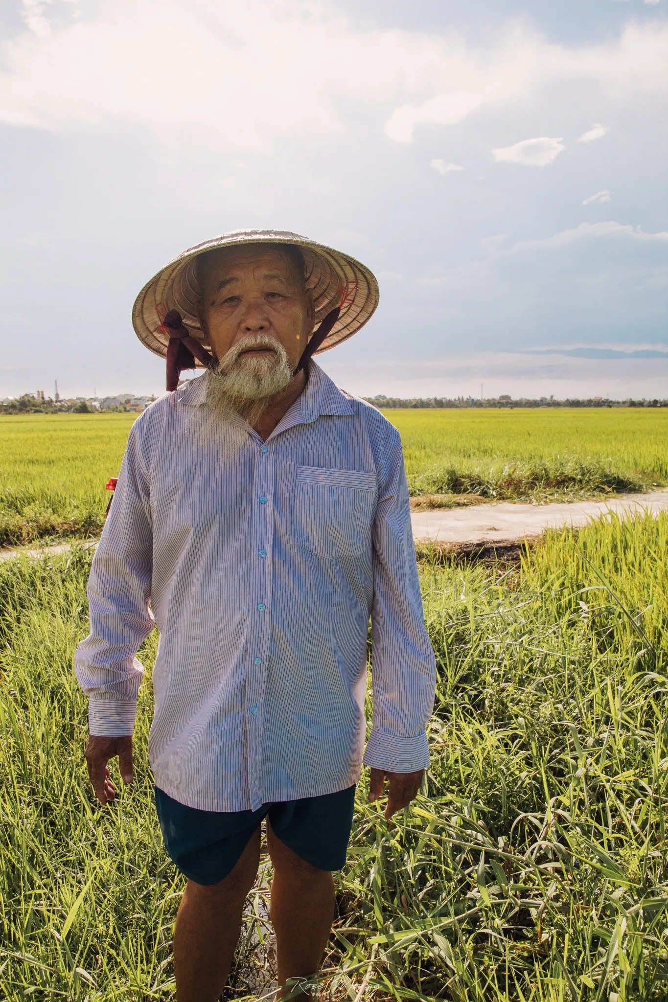 An older man with a white beard and a conical hat stands in a green rice field.